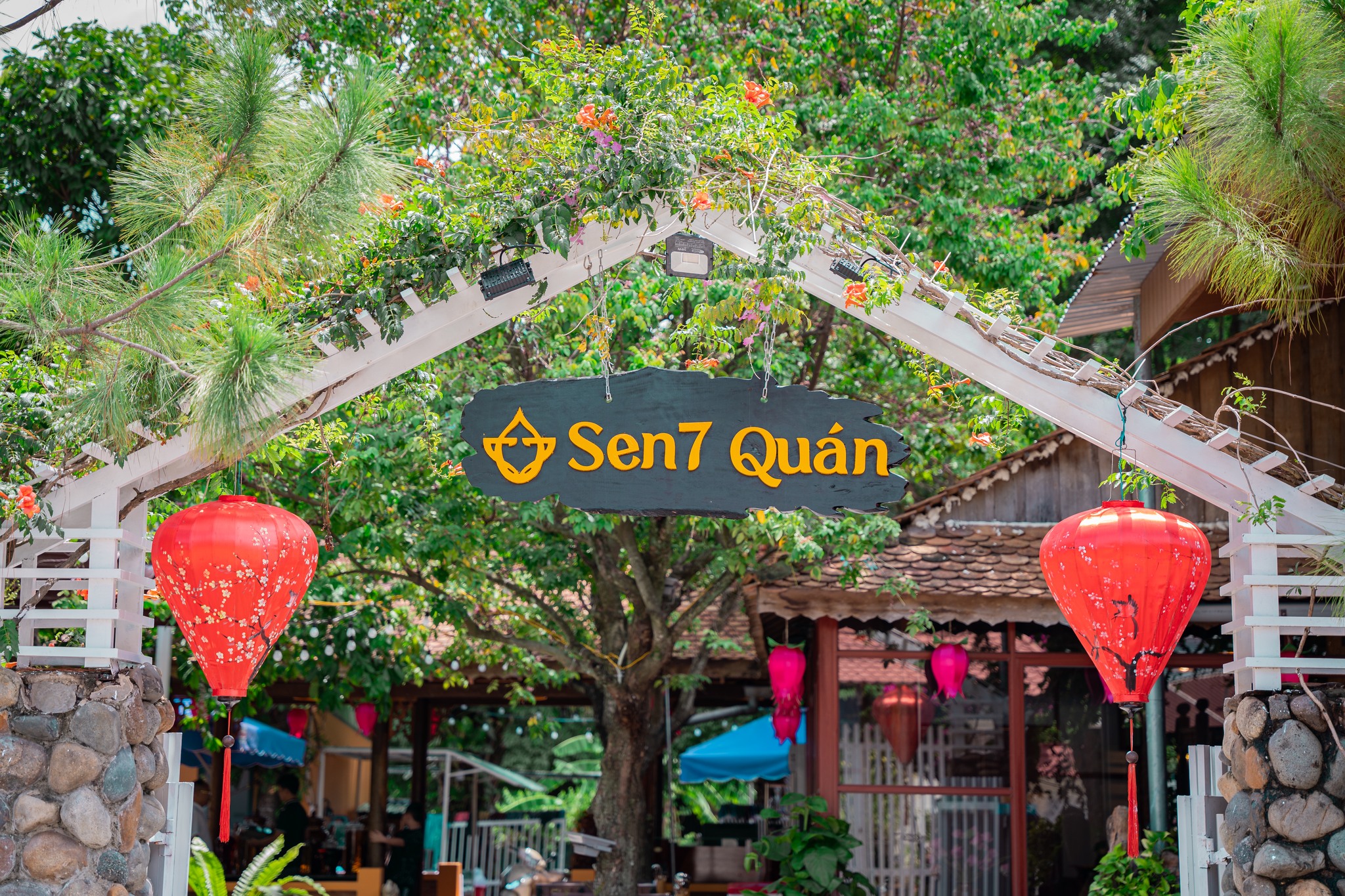 Sen 7 Quán